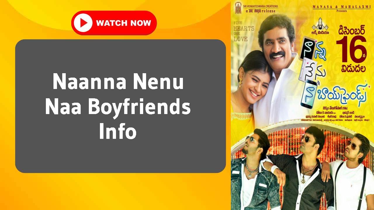 Naanna Nenu Naa Boyfriends